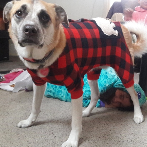 Dog Pajamas!!! - Picture 3 of 3